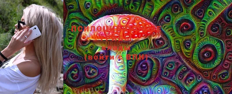 Псилоцибиновые грибы Psilocybine cubensis  Комсомольск 